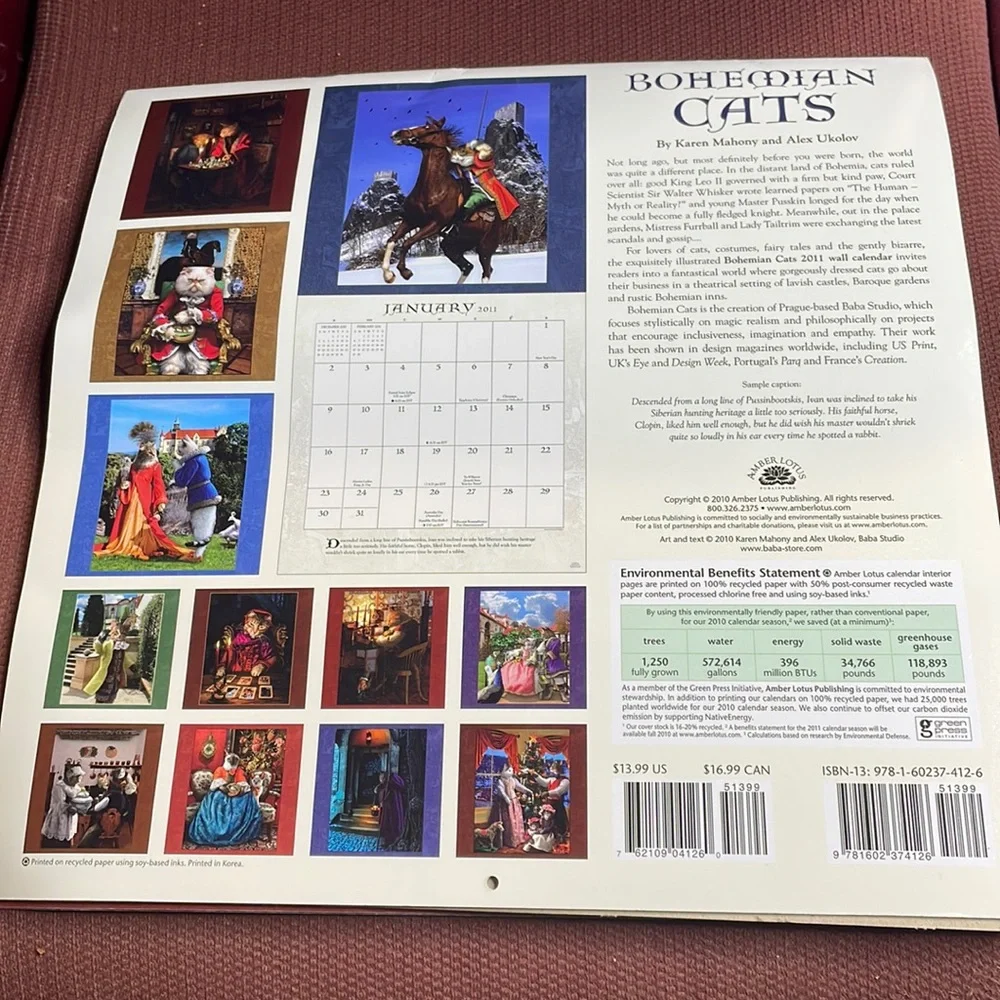12“ x 12“ 2011 bohemian cats calendar out of package, has not been written in